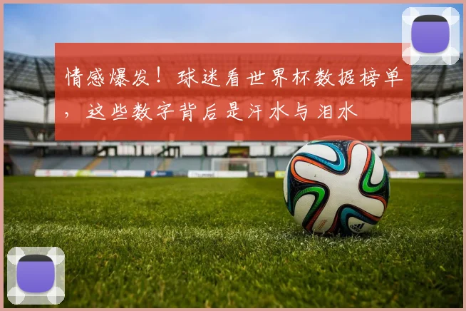 情感爆发！球迷看世界杯数据榜单，这些数字背后是汗水与泪水
