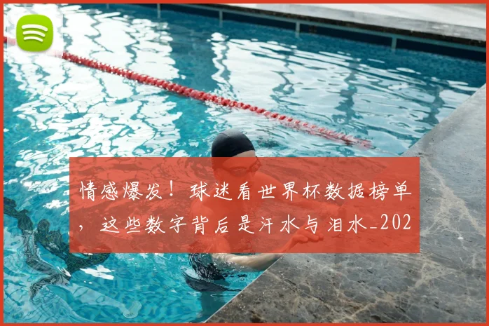 情感爆发！球迷看世界杯数据榜单，这些数字背后是汗水与泪水_20260704174211_20260723172450